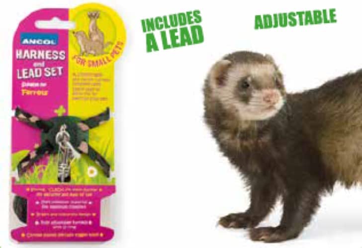 Ancol Ferret Harness and Lead Set