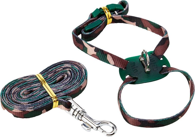 Ancol Ferret Harness and Lead Set