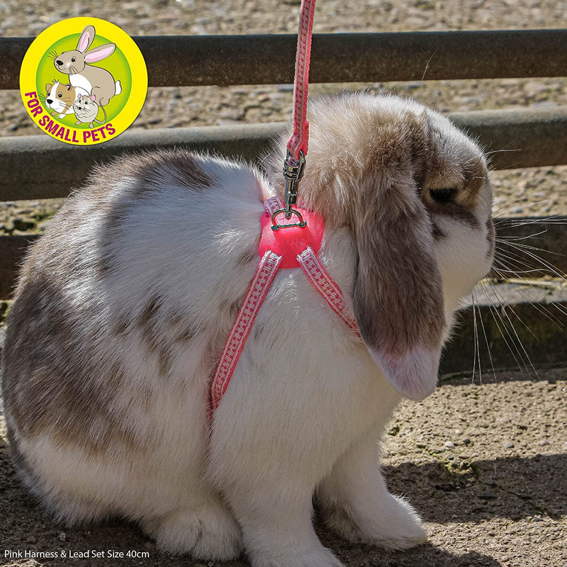 Ancol Harness & Lead Set for Rabbits & Guinea Pigs