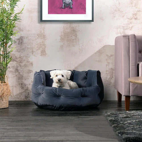 Bunty Monarch Dog Bed - Grey