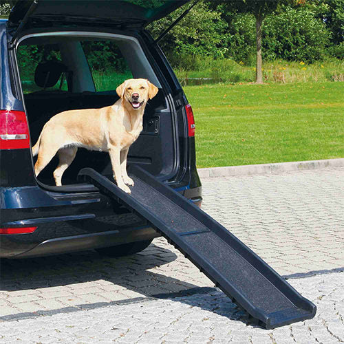 Rosewood dog outlet ramp