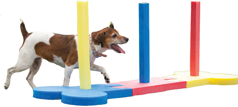Rosewood Small Dog Agility Training Equipment
