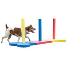 Rosewood Small Dog Agility Training Equipment