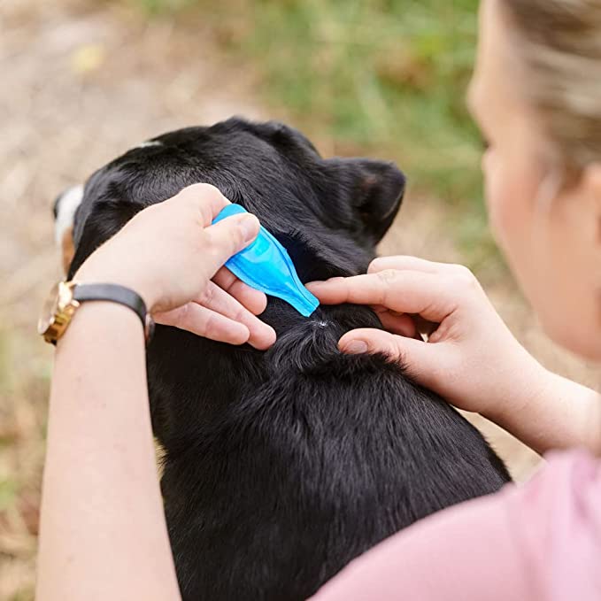 Beaphar FIPROtec Spot On Flea & Tick Treatment for Medium Dogs