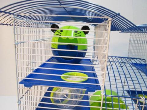 Abby 3 Tier Large Hamster Cage - Blue & Lime-Package Pets