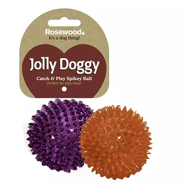 Rosewood Catch & Play Spikey Dog Ball