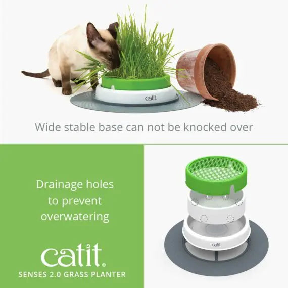 Catit Senses 2.0 Cat Grass Planter