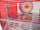 Fantazia 3 Tier Large Glitter Hamster Cage - Red & Silver-Package Pets