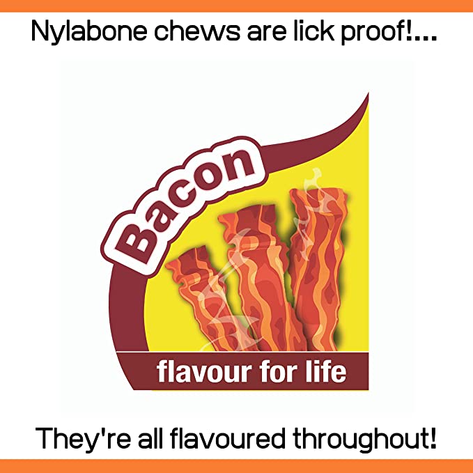 Nylabone Bacon Puppy Pacifier Chew XS