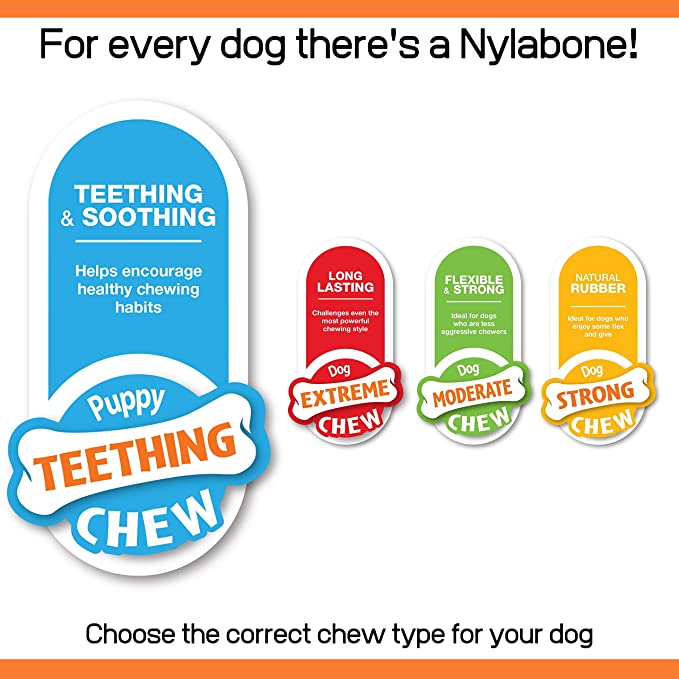 Nylabone Bacon Puppy Pacifier Chew XS