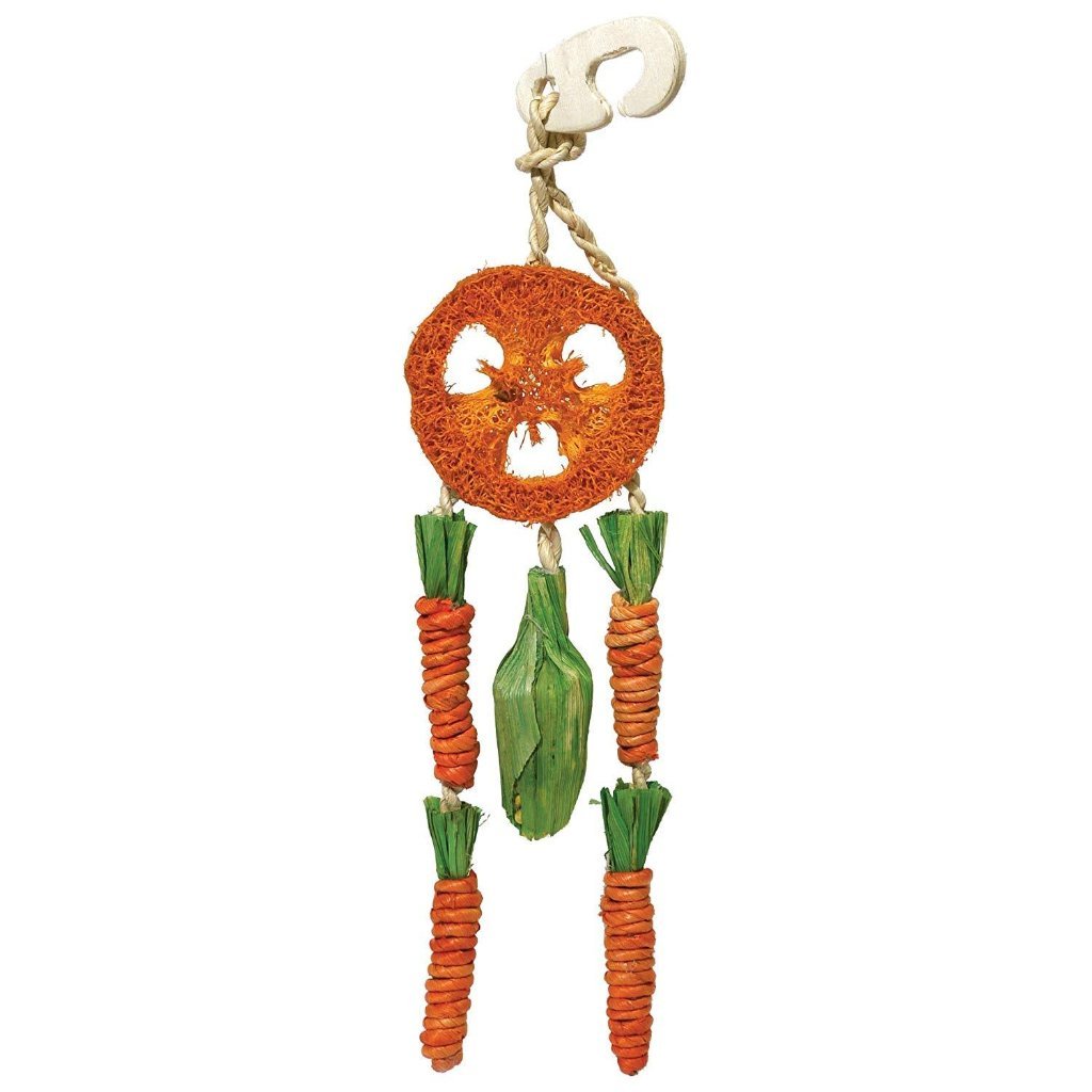 Rosewood Boredom Breaker Carrot Dream Catcher Rabbit Hamster Toys