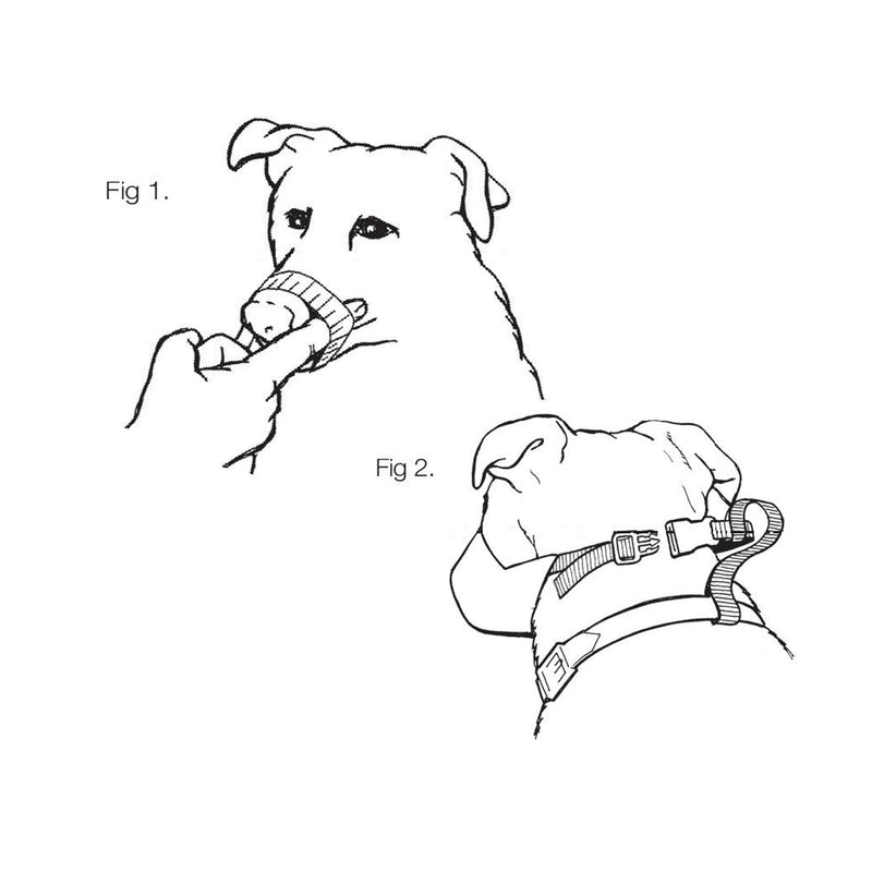 Mikki Soft Nylon Dog Muzzle