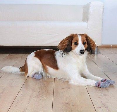 Trixie Injured Paw Dog Socks - 4 Sizes-Package Pets
