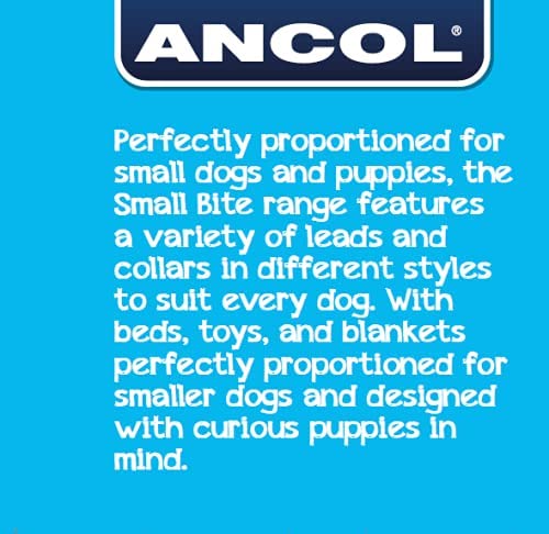 Ancol Small Bite Vinyl 6 Balls 4.5 cm