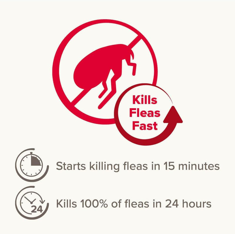 Beaphar Flea Tablets for Medium & Large Dogs