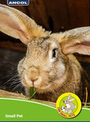 Ancol Harness & Lead Set for Rabbits & Guinea Pigs