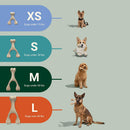 BetterBone Hard Dental Chew Bone Toy for Dogs - Small