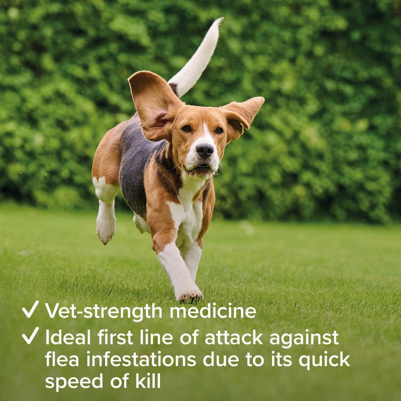 Beaphar Flea Tablets for Small Dogs