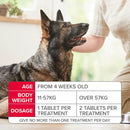 Beaphar Flea Tablets for Medium & Large Dogs