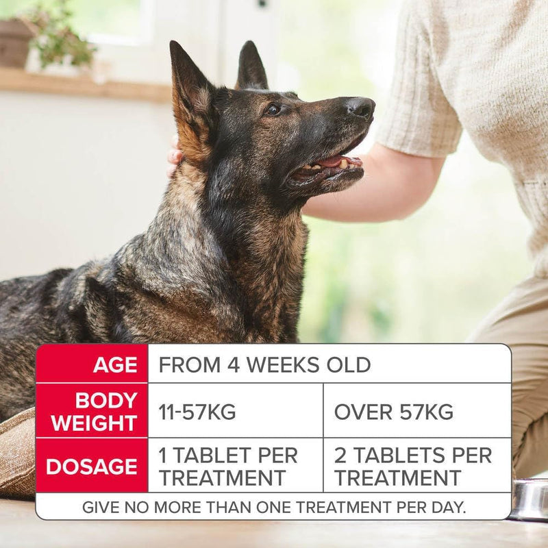 Beaphar Flea Tablets for Medium & Large Dogs