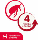 Beaphar Cat Flea Collar With Bell - Waterproof Plastic