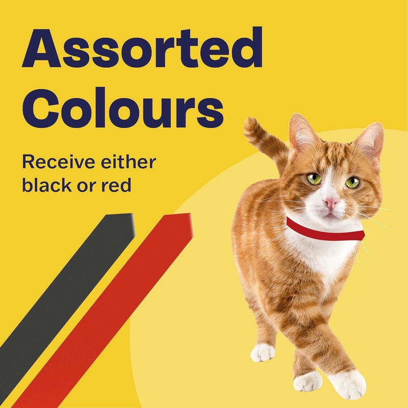 Bob Martin Clear Flea Repellent Collar for Cats - Twin Pack