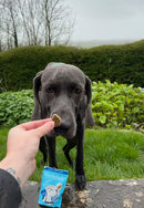 Forthglade Digestive Health Natural Soft Bites for Dogs 90g