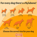 Nylabone Broccoli Extreme Bacon & Cheese Flavour Dog Chew