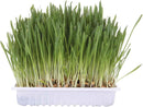 Trixie Cat Grass Seed Refill 100g