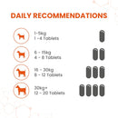 Vetzyme Conditioning Tablets for Dogs - 3000 Tablets