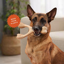 BetterBone Hard Dental Chew Bone Toy for Dogs - Large