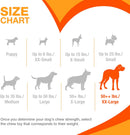 Nylabone Extreme Big Bone XXL Chicken