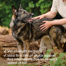 Beaphar Flea Tablets for Medium & Large Dogs