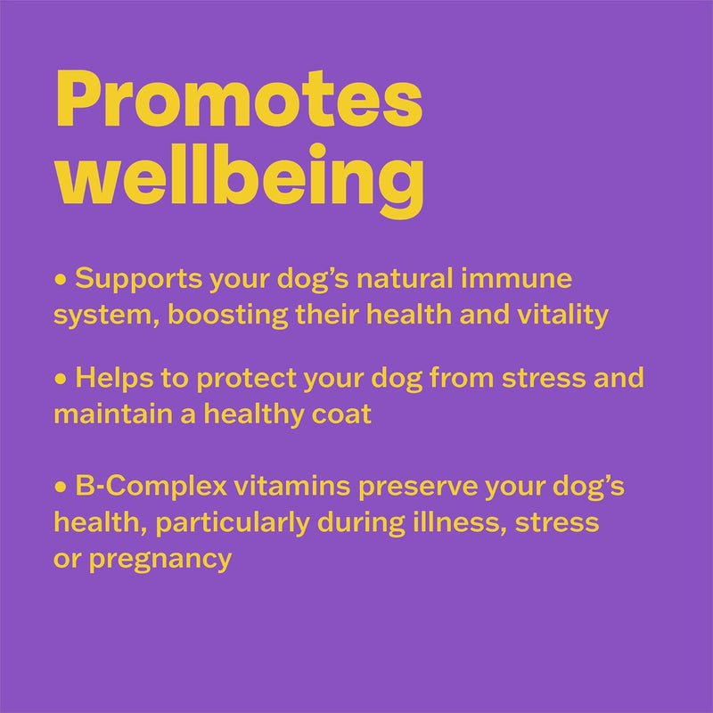 Bob Martin Conditioning Tablets for Dogs – 100 Tablets