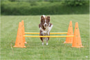 Trixie Dog Agility Obstacle Course