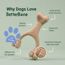 BetterBone Hard Dental Chew Bone Toy for Dogs - Small