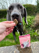 Forthglade Joint & Bone Natural Soft Bites for Dogs 90g