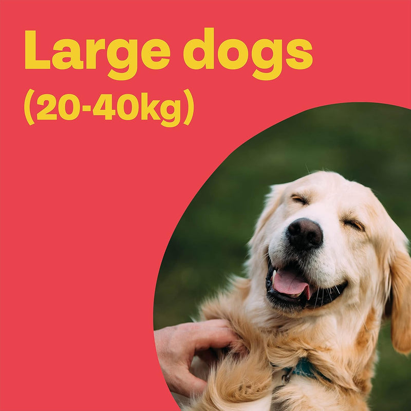 Bob Martin Clear Spot-On for Large Dogs – 3 Pipettes