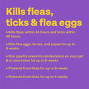 Bob Martin Clear Plus Spot-On for Small Dogs – 3 Pipettes