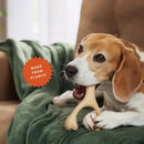 BetterBone Hard Dental Chew Bone Toy for Dogs - Small