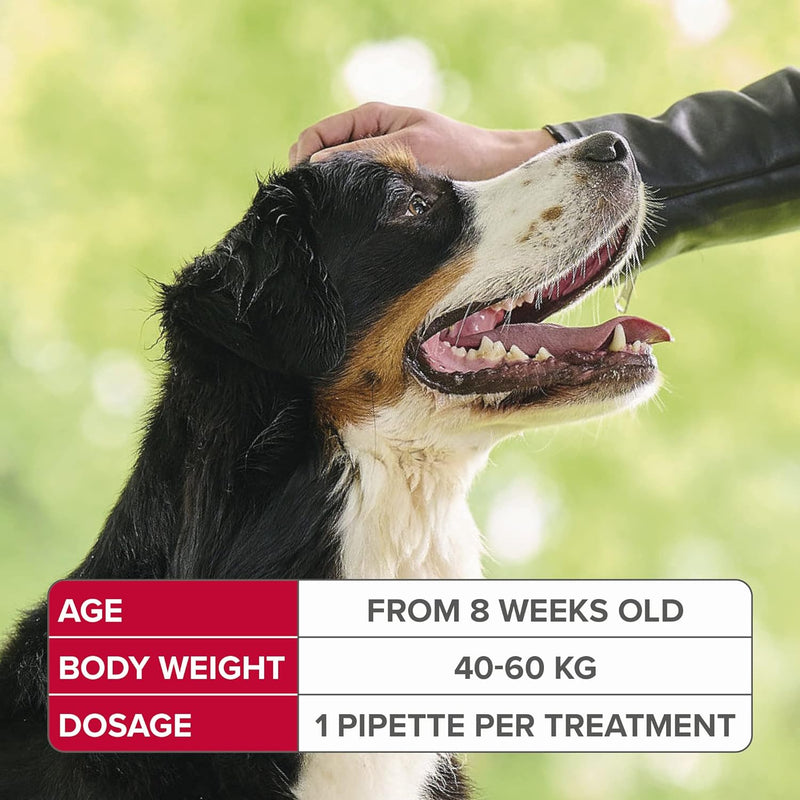 Beaphar FIPROtec Spot On for Extra Large Dogs 4 Pipettes