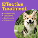 Bob Martin Clear 3in1 Flavoured Wormer Tablets for Dogs