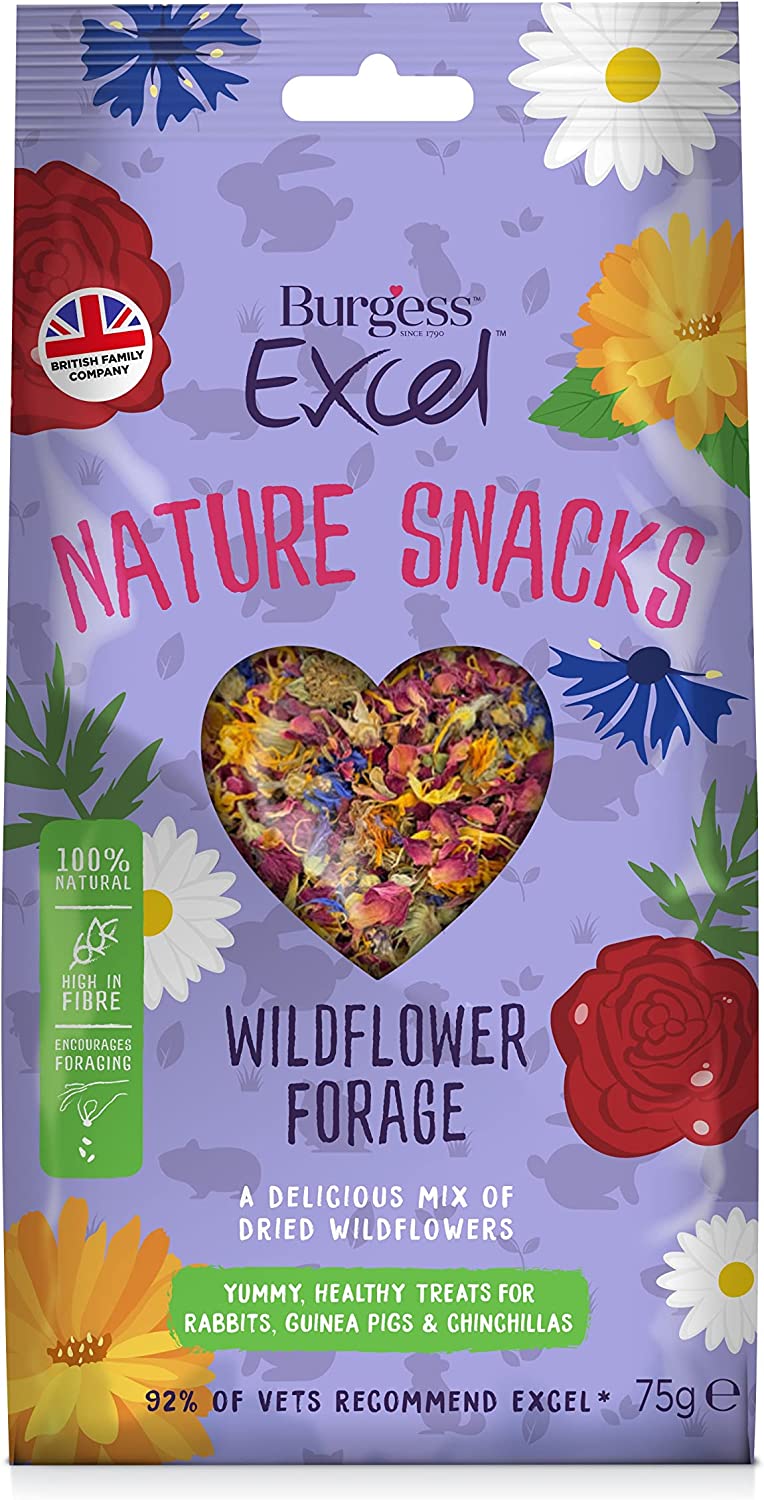 Burgess Excel Nature Snacks Wildflower Forage 75g