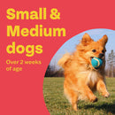 Bob Martin Clear 3in1 Flavoured Wormer Tablets for Dogs