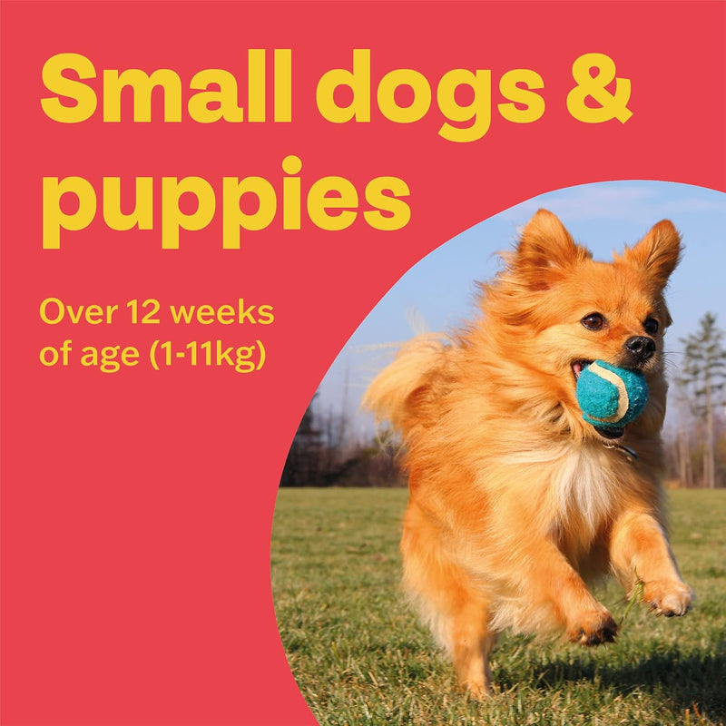 Bob Martin Clear Flea Tablets for Small Dogs & Puppies