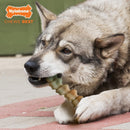 Nylabone Extreme Gator Tail Dog Chew Large