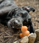 Nylabone Chicken Gourmet Wishbone Dog Chew – Large