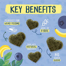 Burgess Excel Nature Snacks Fruity Feasts 60g