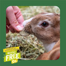 Burgess Excel Nature Snacks Luscious Leaves 60g