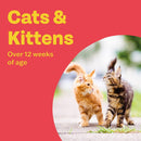 Bob Martin Clear Flea Repellent Collar for Cats - Twin Pack